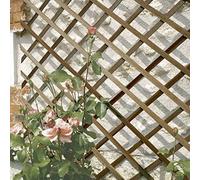 Treillis en bois FSC extensible TRELLIWOOD - 1 x 2 m - Marron