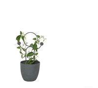 Treillis en métal empilable pour plantes grimpantes, cadre en fer pour | Design modulaire empilable de forme géométrique artistique comprenant des attaches de câble pour un assemblage facile