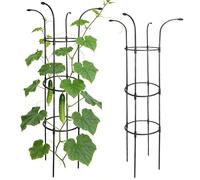 Treillis en métal pour parasol de jardin : cage de support pour grimpantes durable et résistante à la rouille avec design de tour, idéale pour les légumes, les fruits du dragon, le , les