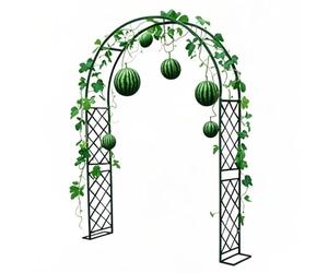 Treillis en métal pour plantes grimpantes - Arche de soutien robuste et de rose parfaite pour la décoration extérieure de jardin, l'aménagement paysager et les solutions de jardinage de veau