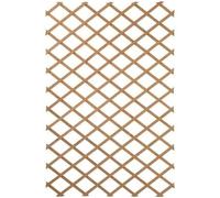 Treillis extensible en bois 100 x 200 cm Nature