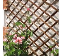 Treillis extensible en bois ""Trelliwood"" - 1 x 2 m - Bois foncé