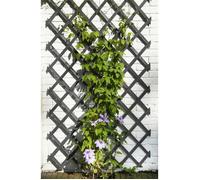 Treillis extensible - NATURE - En bois FSC® coloré Anthracite - 50 x 150 cm