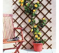 Treillis extensible PVC, 0,50x1,50m