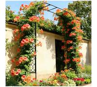 Treillis for Arche De Jardin - Arche À Roses en Métal Antirouille | Tonnelle Robuste for Plantes Grimpantes en Extérieur, Créez Une Allée De Jardin Ou Une Pergola(240 * 240 * 40cm)