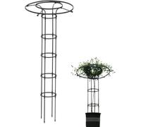 Treillis for Plantes Grimpantes - Structure De Support Verticale
