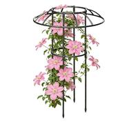 Treillis Jardin Pour Grimpantes Support Décoratif Vertical Antirouille