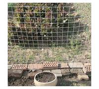 Treillis métallique soudé en acier inoxydable 304, 3 cm/1,5 mm, protection flexible des plantes, clôture de cage à volaille, protection d'escalier de balcon, protection durable pour plantes 0,9 x 25 m