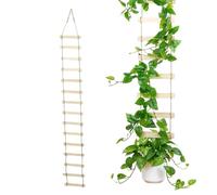 Treillis Mural - 180 x 20 cm - Grande échelle en Bois avec Corde à Pompons - Support Vertical Monstera en Bois - Support Suspendu pour grimpantes - Treillis pour Balcon, terrasse, Jardin