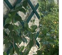 Treillis mural de jardin extensible, treillis polyvalent en plastique PVC, pour décoration de plantes grimpantes, cloisonnement, 1,8 m x 30 cm (1 pièce)