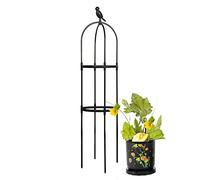 Treillis obélisque de jardin pour plantes grimpantes - Support de plantes en fer pour intérieur et extérieur - Cage décorative noire - 29 cm
