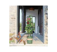 Treillis obélisque en acier inoxydable résistant à la chaleur pour fleurs et vignes, montage facile, parfait pour la décoration de jardin et la croissance des plantes.