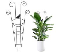 Treillis pour de Vigne - Treillis en métal pour de Balcon, Cadre de Jardin Robuste en métal pour intérieur et extérieur | pour terrasse, Balcon, Serre, Fleurs