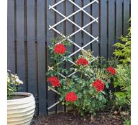 Treillis pour d'extérieur Extensible, Panneaux de décoratives, grimpantes de 9,06 x 14,96 Pouces, Support Jardin Polyvalent pour Lierre, Roses et concombres, décoration Murale et clôtu