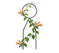 Treillis pour d'intérieur - Fer 34x10cm | Metal Weather Resistant Stake | Decorative Escalade Support Wire Rack for Potted Ivy Vine Houseplants Flower Yard Patio Porch Landscape Balcony