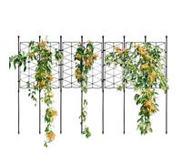 Treillis pour d'intérieur | Support de treillis pour de jardinage - Support d'escalade | pour clématites, gloires du matin, lys, pois de senteur, concombres, tomates