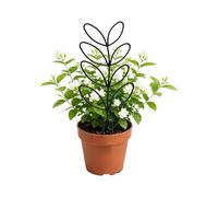 Treillis pour d'intérieur - Support de Vigne de Trente-Huit centimètres, Piquet en Forme de Feuille en nid d'abeille en Deux pièces | Support de Pothos de Lierre grimpant Noir, pour Jardin, ma