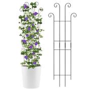 Treillis pour d'intérieur | Treillis en métal pour Croissance Verticale - Piquets d'escalade - pour Pots de Jardin, Fleurs de tomates, Lierre, clématites