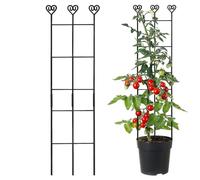 Treillis pour en Pot - Chevilles en métal réglables et antirouille - Grifo pour grimpantes d'intérieur de 83 cm - pour pothos rampants clématites Philodendron Fleurs Mariage fête