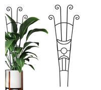 Treillis pour en Pot - Piquets de Support pour clématites - Piquets métalliques pour intérieur et extérieur, Balcon, pothos, Monstera, Lierre, clématite, Amateurs de Jardinage