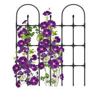 Treillis pour - Grattoir métallique Vertical pour la Croissance - pour vis grimpantes | pour Jardin Balcon Tomates Fleurs Vigne Clématite