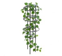 Treillis pour Grimpantes - Décoratif Pratique, Obélisque De Jardin en Métal, Support De Croissance des, Support Multi-Usage pour Fleurs, Fruits, Vignes, Cadre Vertical Facile À Assembl