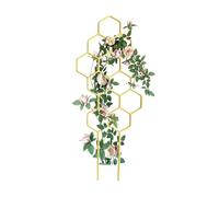 Treillis pour Grimpantes d'Intérieur Support grimpant et piliers à | Tuteur de support pour Monstera pour Pots Grimpantes Monstera Pothos Lierre Fleurs Jardinage Intérieur Bal