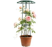 Treillis Pour Grimpantes Extérieur Support pour potagères en forme de