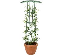 Treillis pour grimpantes Support pour potagères en forme de parapluie