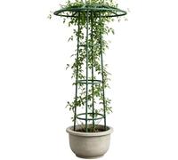 Treillis pour grimpantes Support pour potagères en forme de parapluie