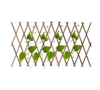 Treillis pour grimpantes - Support vertical pour Panneau mural extensible pour clôture de jardin | Treillis de jardin, support pour , clôture de treillis de saule pour