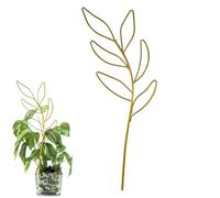 Treillis pour plantes d'intérieur - Cadre de support en métal antirouille, structure d'escalade de jardin, support de support, guide de croissance du lierre de vigne, insert de pot décoratif, design