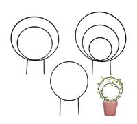 Treillis pour Plantes d'intérieur, Treillis métallique pour Plantes grimpantes, Lot de 3 Noir à Design Circulaire, Treillis pour Hoya, Options Multi Tailles adaptables