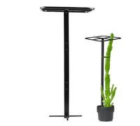 Treillis pour plantes grimpantes, support de jardinage - Support pour dragon en extérieur et intérieur - Jardin, balcon, plantes d'intérieur, vignes et mariages