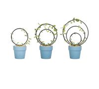 Treillis pour , support métallique artistique pour grimpantes, pour , maison familiale et débutant en jardinage d'intérieur