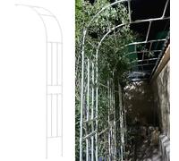 Treillis robuste pour plantes grimpantes - Piquet en métal avec revêtement PE - Support de fleurs durable - 240 x 240 x 40 cm - Solution de décoration de jardin et support pour plantes