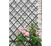 Celosia Extensible 1x2m Nortene Verde