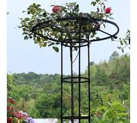 Treillis vertical de jardin pour plantes grimpantes - Cage de support de glycine antirouille de 120 cm pour vignes, roses et fleurs - Design parapluie d'extérieur pour une croissance et une stabilité