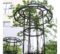 Treillis vertical pour plantes grimpantes avec dessus en forme de champignon fabriqué à partir de métal résistant aux intempéries pour une utilisation en extérieur dans le jardin (D)