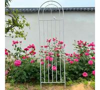 Trellis De Jardin pour Plantes d'escalade 90cm 115cm 160cm 180cm 200cm 220cm. Trellis De Fleurs De Jardin en Métal Inoxydable, Support De Concombres, Filet De Soutien De Plante (Blanc, 50x180cm)