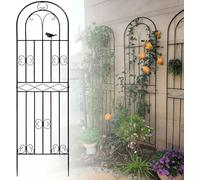 Trellis De Jardin pour Plantes d'escalade 90cm 115cm 160cm 180cm 200cm 220cm. Trellis De Fleurs De Jardin en Métal Inoxydable, Support De Concombres, Filet De Soutien De Plante (Blanc, 50x180cm)
