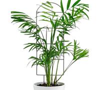 Trellis For Indoor Plant - 30 x 12 en réglable Rustproof Small Universal Support, Climbing Plants Garden Trellis For Vine Clematis Jasmine Pothos Monstera Flower