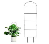 Trellis Potted Plant Trellis - Support réglable en métal | Rustproof Climbing Plant Stakes, Small Vine Support for Ivy Clematis, Jasmine Pothos and Monstera Indoor Outdoor