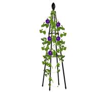 Trellis végétal en métal, vieille grille de jardin en acier, clôture de pois pour - jardin, support - pour lettres de d'escalade, usure - Résistant