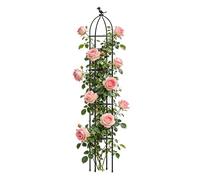 Trellis végétaux pour pots, Stakes de jardin décoratifs, support d'usine de preuve de rouille, d'escalade pour les fruits végétaux de clematis rose intérieur extérieur patio extérieur jardin