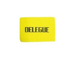 Tremblay Brassard DELEGUE