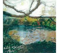 Wide Majestic Aire