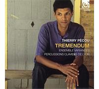 Tremendum E