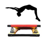 Tremplin de Gymnastique, tremplin de Gymnastique en Bois Dur avec Ressort intégré, pédale à Ressort, tremplin incurvé Robuste (Dimensions : 250 x 80 cm)