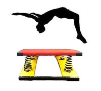 Tremplin de Gymnastique, tremplin de Gymnastique en Bois Dur avec Ressort intégré, pédale à Ressort, tremplin incurvé Robuste (Dimensions : 450 x 80 cm)